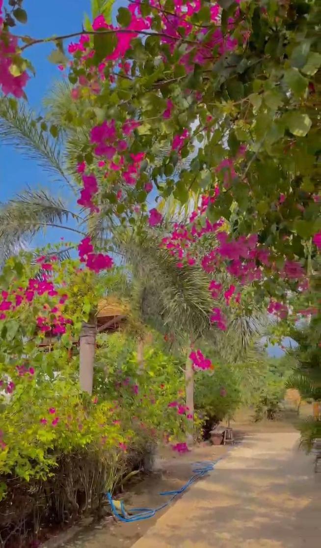 Sea Breeze Villas - Gili Air, Lombok Екстер'єр фото